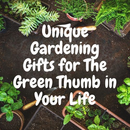 unique gardening gifts