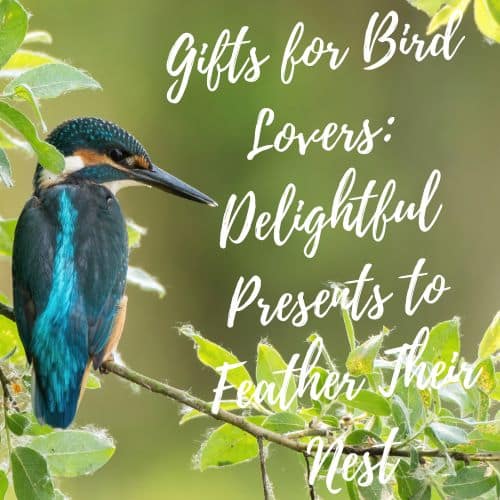 gifts for bird watchers