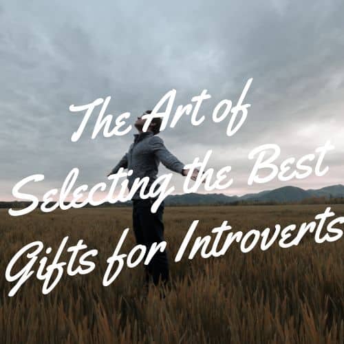 best gifts for introverts