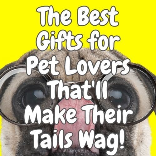 gifts for pet lovers